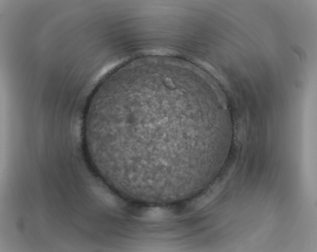 X0000113050111200909101948