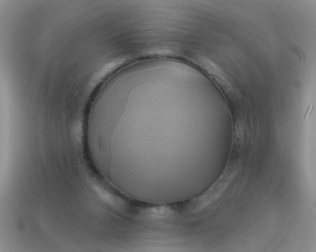 X0000113050112200909101948