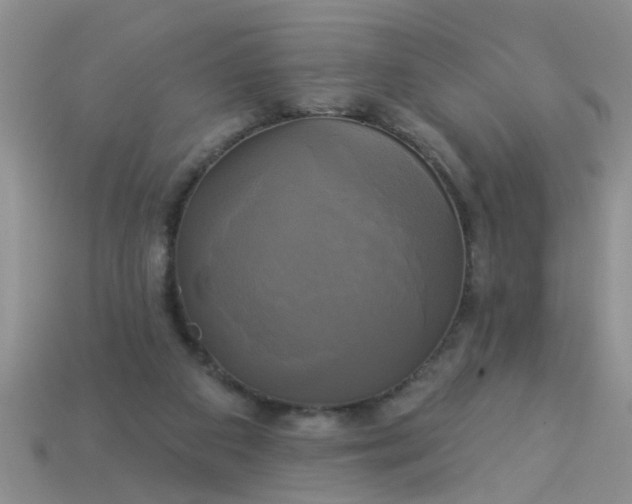 X0000113050113200909101948