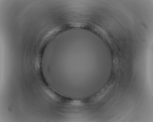 X0000113050114200909101948