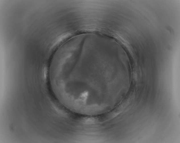 X0000113050115200909101948