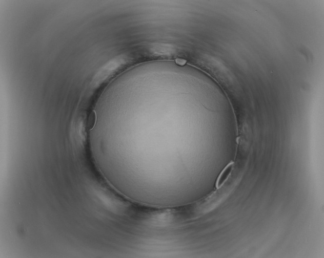 X0000113050116200909101948