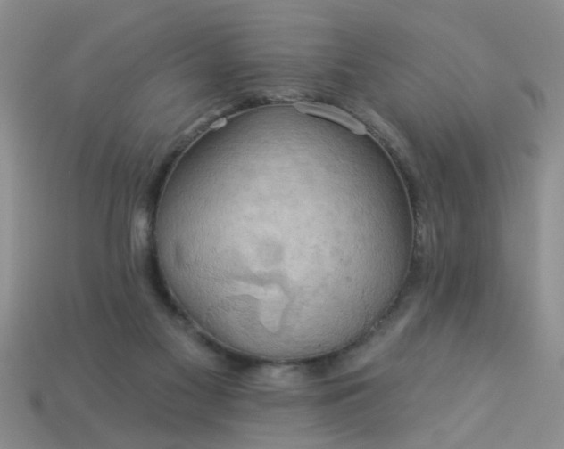 X0000113050117200909101948