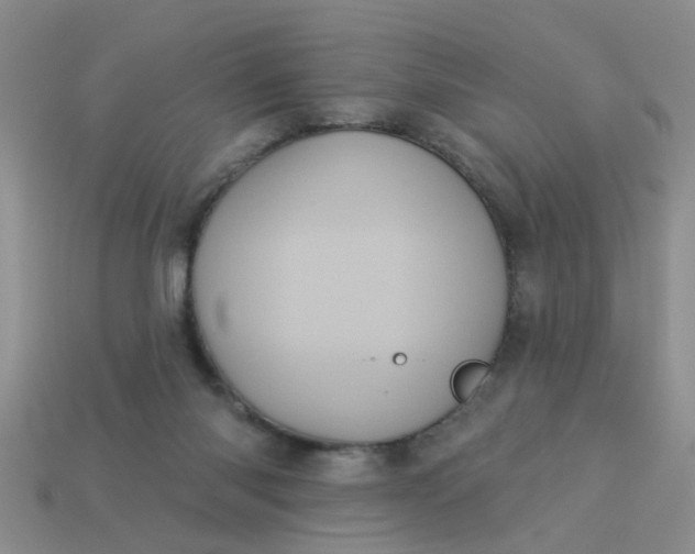 X0000113050118200909101948