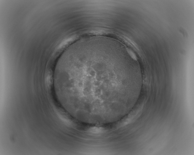 X0000113050119200909101948