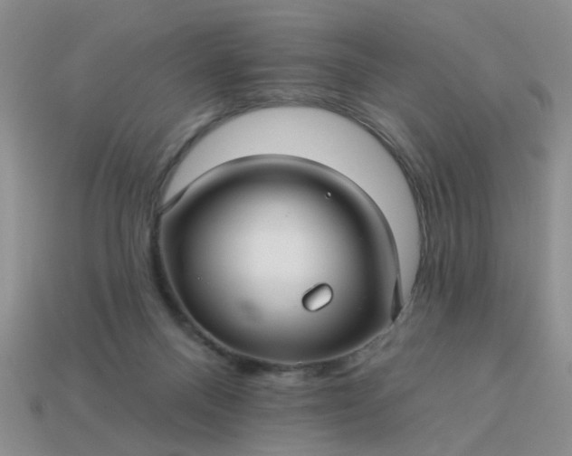 X0000113050120200909101948