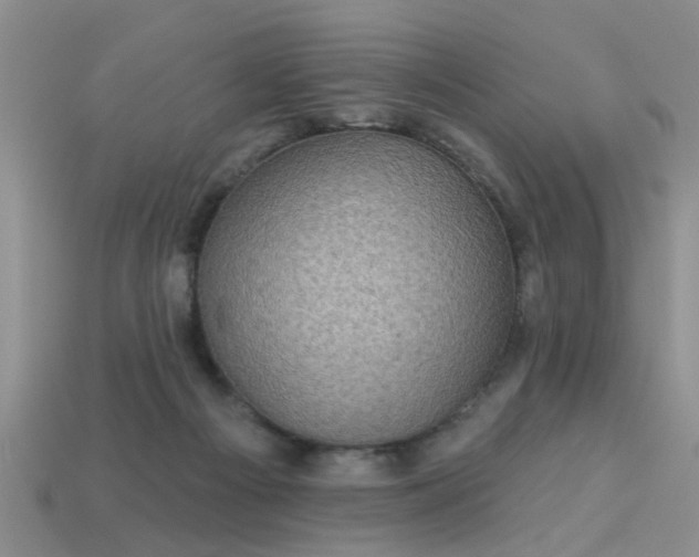 X0000113050121200909101948