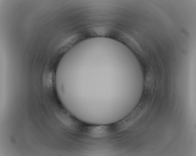 X0000113050122200909101948