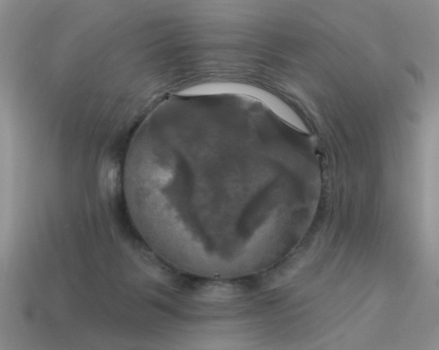 X0000113050123200909101948