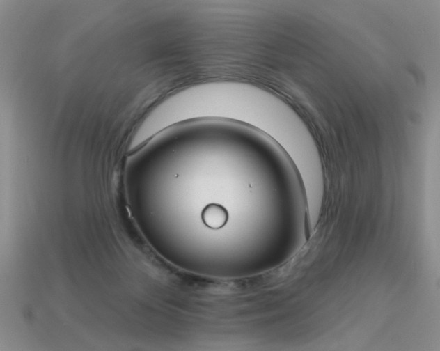 X0000113050124200909101948