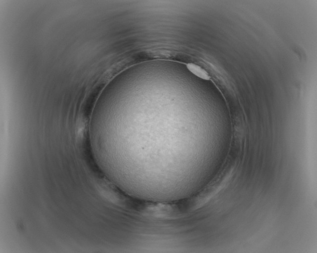 X0000113050125200909101948