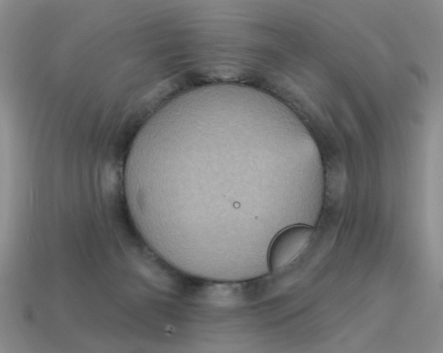 X0000113050126200909101947