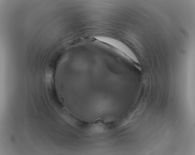 X0000113050127200909101947