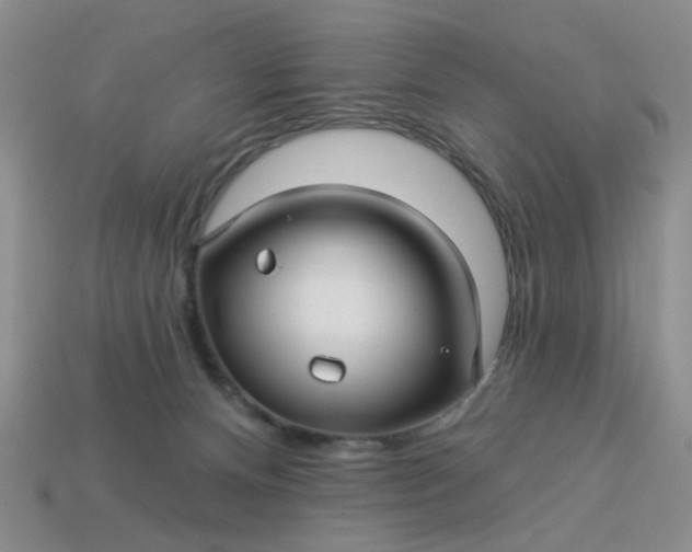 X0000113050128200909101947