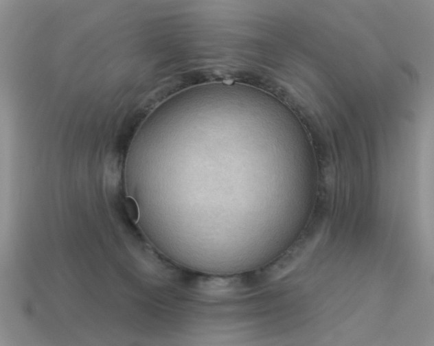 X0000113050129200909101947