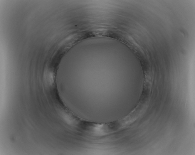 X0000113050130200909101947