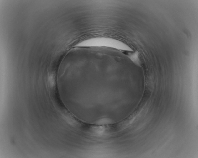 X0000113050131200909101947