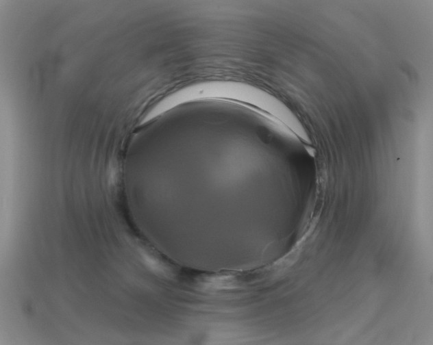 X0000113050132200909101947