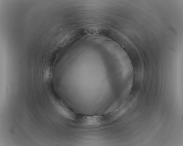 X0000113050134200909101947