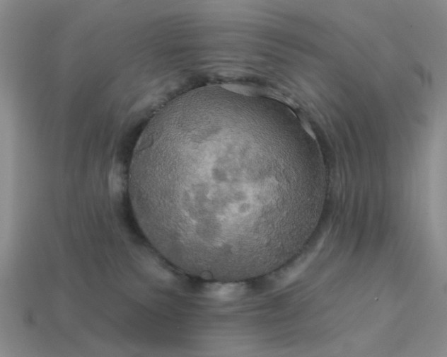 X0000113050135200909101947