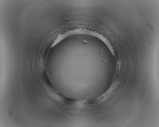 X0000113050136200909101947