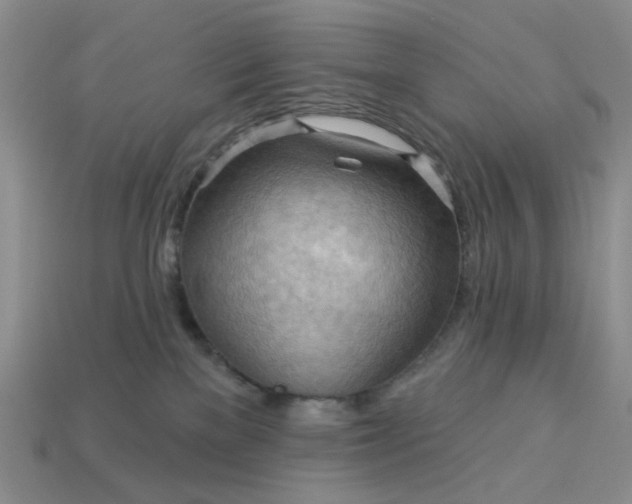 X0000113050137200909101947