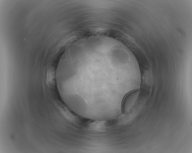 X0000113050138200909101947