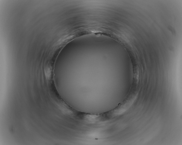 X0000113050139200909101947