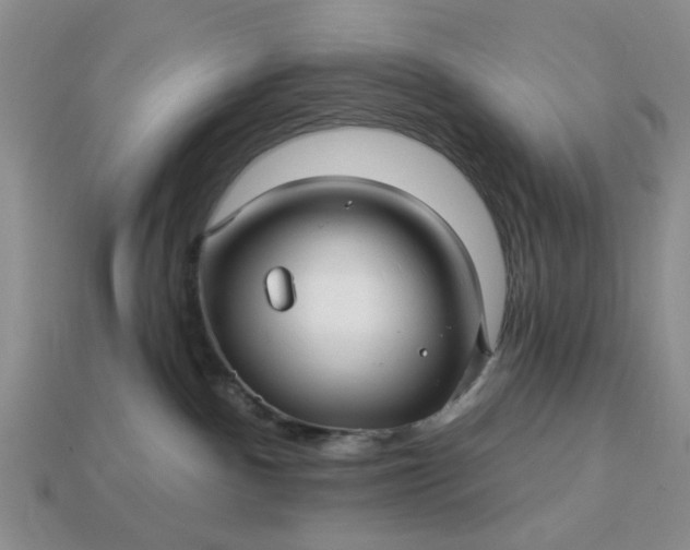 X0000113050140200909101947