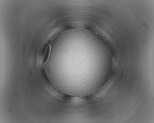 X0000113050141200909101947