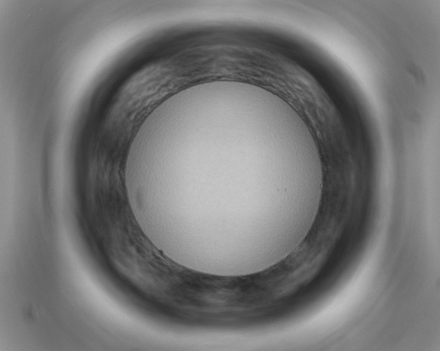 X0000113050142200909101947