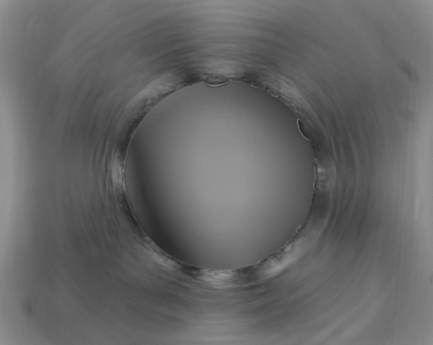 X0000113050143200909101947