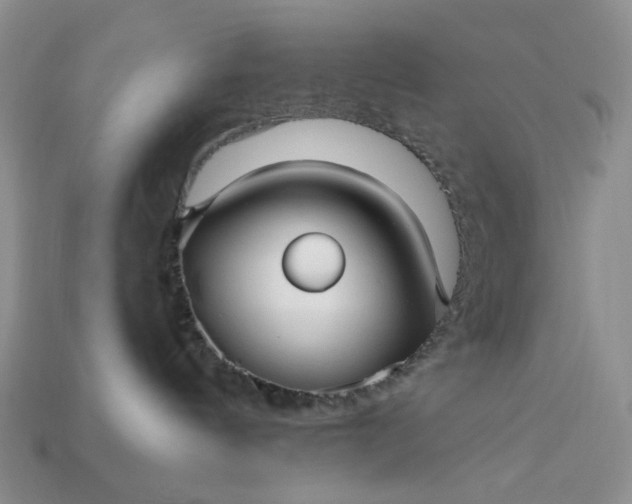 X0000113050144200909101947