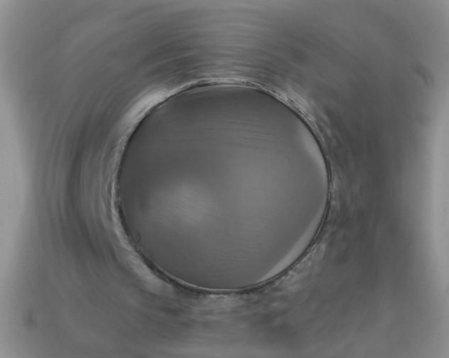 X0000113050145200909101946