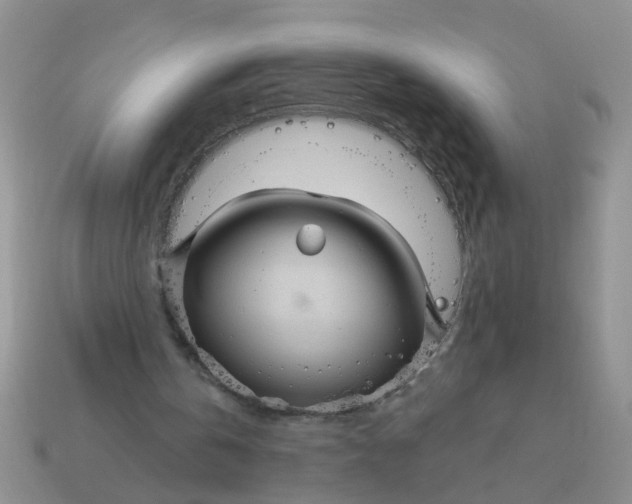 X0000113050146200909101946