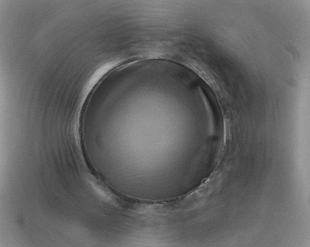 X0000113050147200909101947