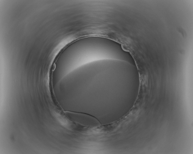 X0000113050148200909101947