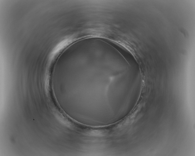 X0000113050149200909101947