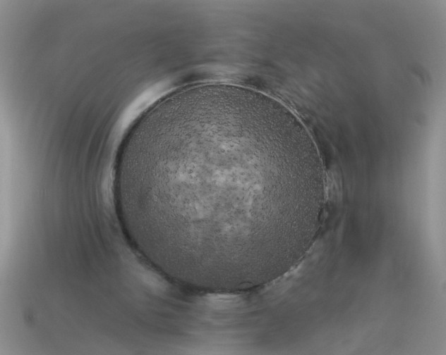 X0000113050150200909101947