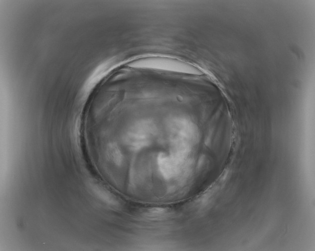 X0000113050151200909101947