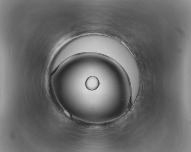 X0000113050152200909101947