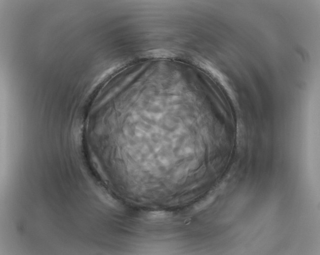 X0000113050153200909101947