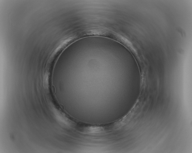 X0000113050154200909101947