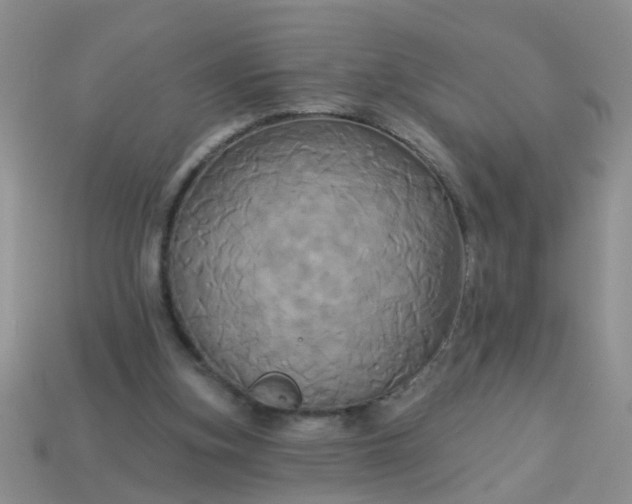 X0000113050155200909101947