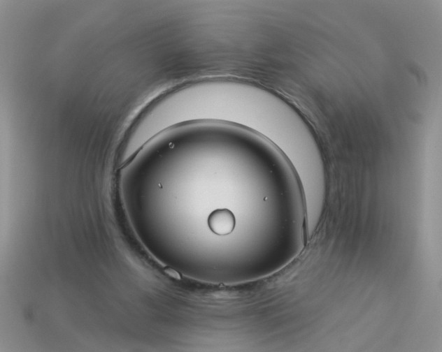 X0000113050156200909101947