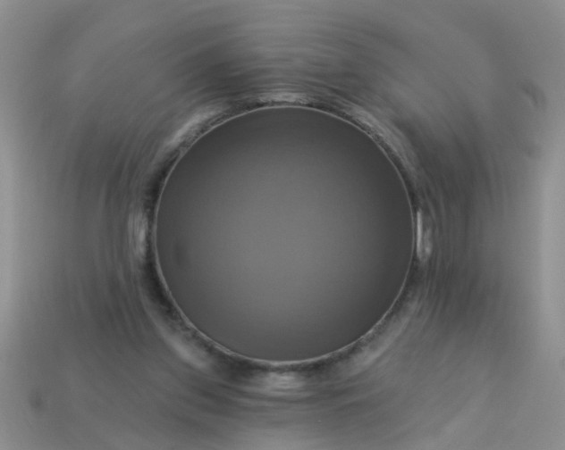 X0000113050157200909101947