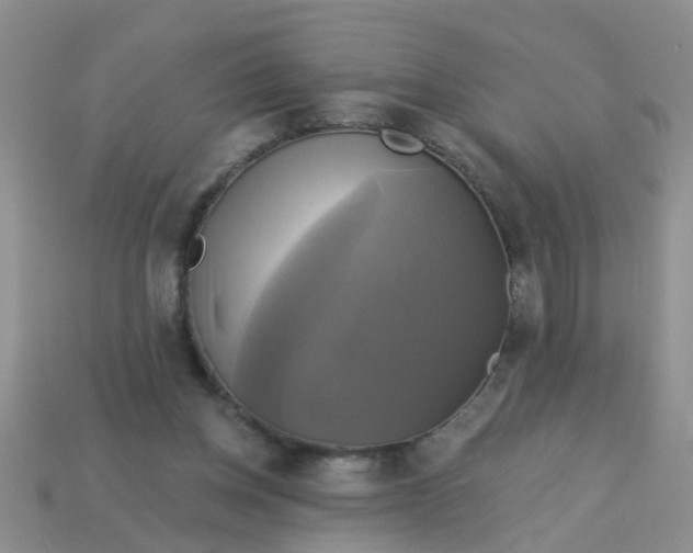 X0000113050158200909101947