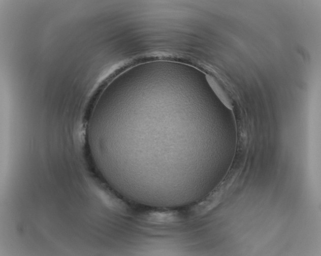 X0000113050160200909101947