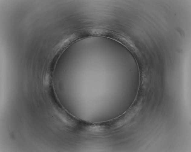 X0000113050161200909101947