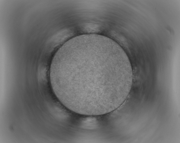 X0000113050162200909101947